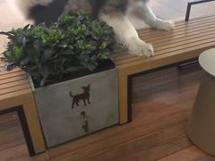 -星巴克(天津鲁能中心第三店)