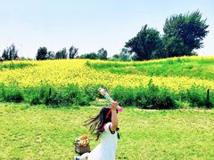 -长白岛森林公园