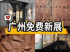 -南越王博物院(王宫展区)