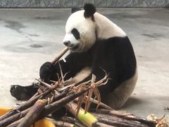 -西安秦岭野生动物园