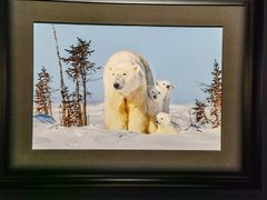 -罗红摄影艺术馆