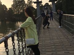 -东湖落雁景区