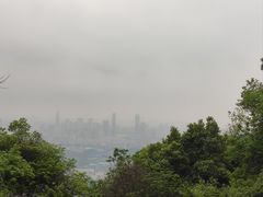 -火炉山森林公园