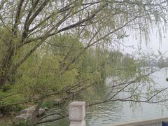 -济南大明湖景区