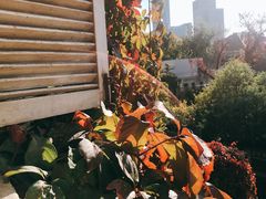 -成桂西餐厅·42年的味道(五大道疙瘩楼店)