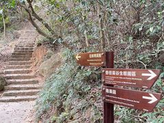 -石排湾郊野公园