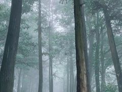 -青城山