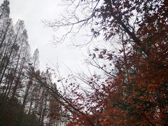 -杭州西湖风景名胜区-满觉陇四眼井