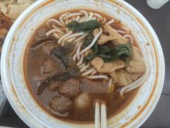 -合肥野生动物园