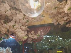 -山西派(桥东街店)