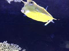 -上海海洋水族馆