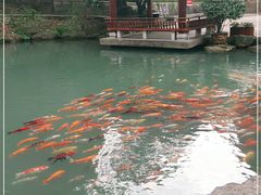 -兰溪地下长河