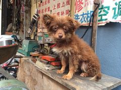 iphone_upload_pic-嘉善老市