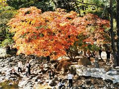 -关门山森林公园