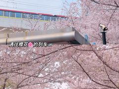 -SNH48星梦剧院