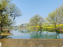 -安徽八里河旅游区
