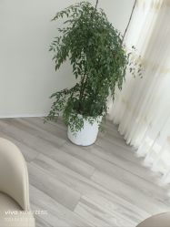 -HEYAN荷妍专业脱毛连锁机构