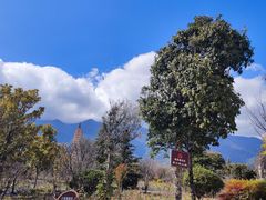 -崇圣寺三塔文化旅游区