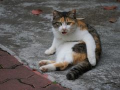 -晓港公园