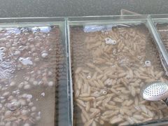 -永红源啤酒·烧烤·海鲜·大排档(青特城店)