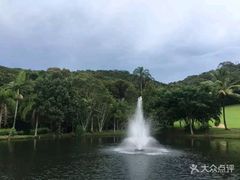 -热带雨林自然公园