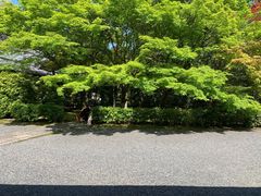 -西芳寺(苔寺)