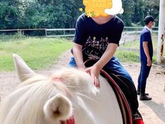 -太阳岛度假酒店