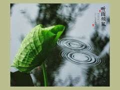 -马家湾湿地公园