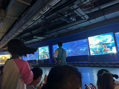 -重庆欢乐海底世界