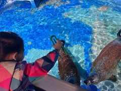 -太平洋海底世界