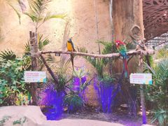 -杭州开元森泊度假乐园