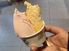 -陕拾叁-西安糕点(北院门创始店)