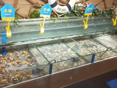 -蒙肥羊·酸汤潮牛·鲜牛肉火锅烤肉自助(岗顶店)