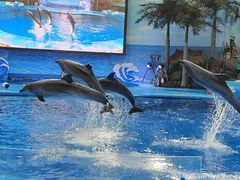 -成都浩海立方海洋公园