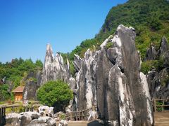 -玉石林风景区