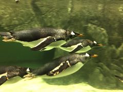 -成都浩海立方海洋公园