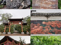 -阳台山自然风景区