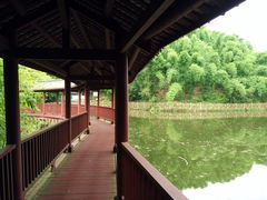 -沐川竹海旅游景区