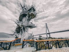-芒洲湿地公园