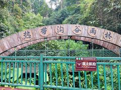 -西双版纳原始森林公园
