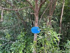 -天龙顶山地公园