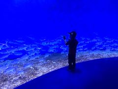 -哈尔滨波塞冬海底世界