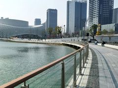 -金沙湖公园