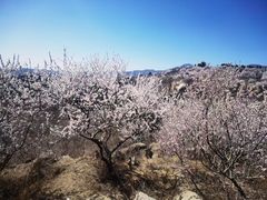 -白水寺森林公园