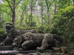 -虎跑公园