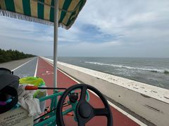 -日照海滨国家森林公园