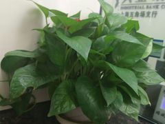 -兴业银行(上海五角场支行)