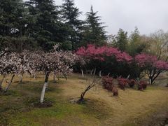 -白塘生态植物园