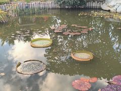 -国家植物园南园