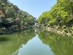 -南山植物园